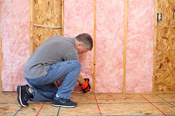 Professional Insulation in Lansing, IL