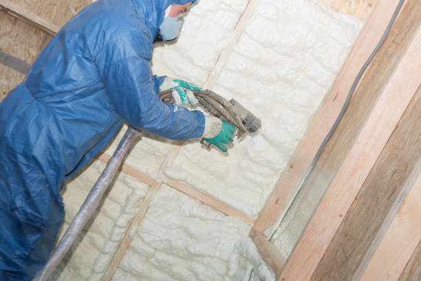 Thermal Imaging for Insulation Gaps in Lansing, IL